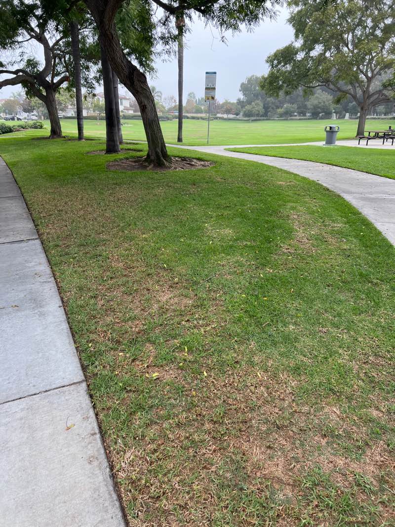 walking near me in Gibbs Park in autumn