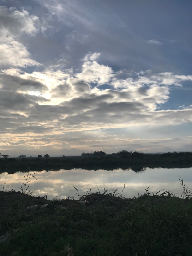 walking near me in Rizal Park in winter