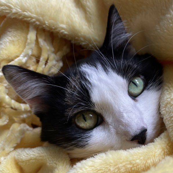 Tascha Puchinger icon