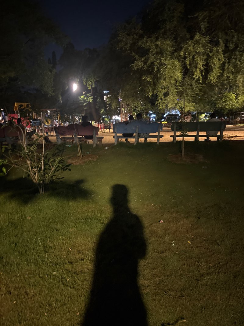 walking near me in Public Garden in autumn