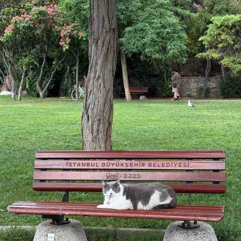 Hassan_1987 post 1