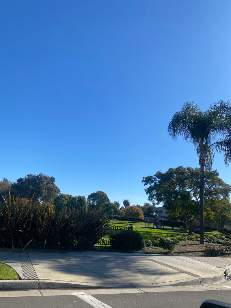 walking near me in Gibbs Park in winter