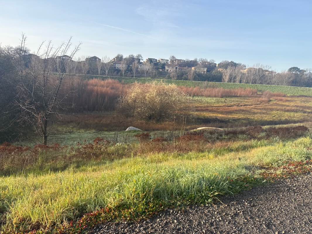walking near me in Proposed Park in winter