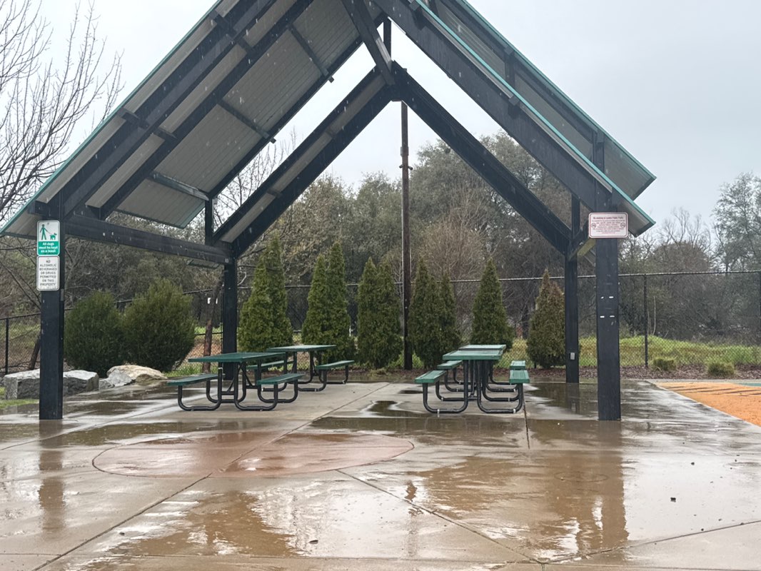 walking near me in Blue Anchor Park in winter