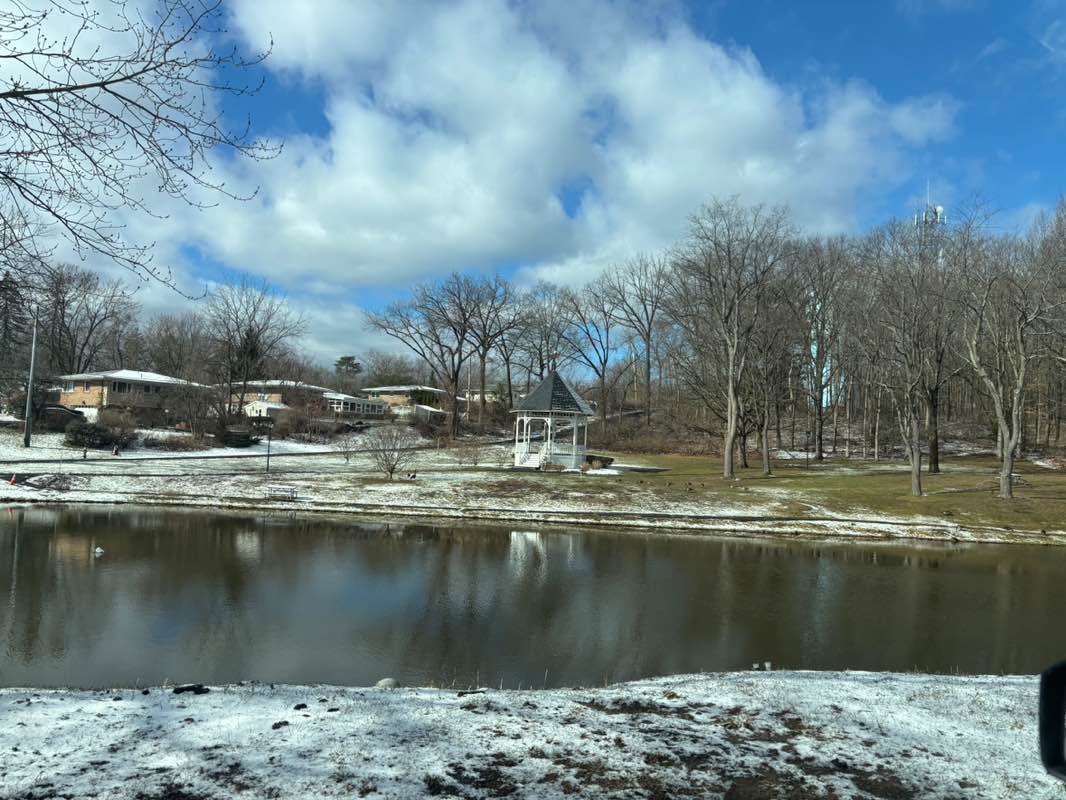 walking near me in Newtonville Park in spring