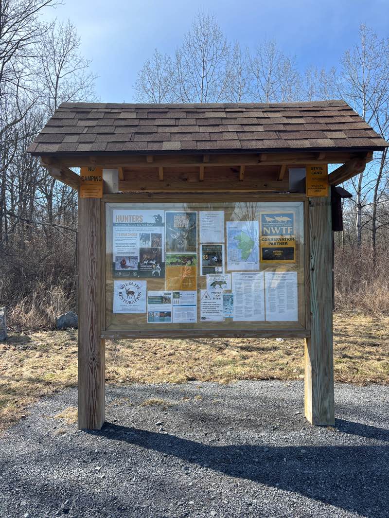 walking near me in Coeymans Creek Wildlife Management Area in spring