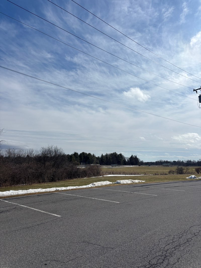 walking near me in Elm Avenue Town Park in spring