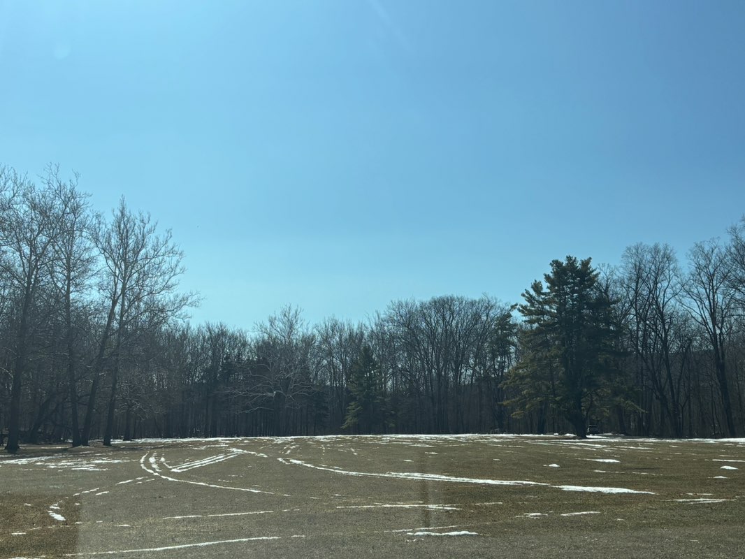 walking near me in Joralemon Park in spring