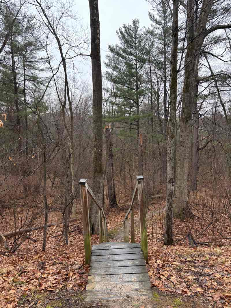 walking near me in Schiffendecker Farm Preserve in spring
