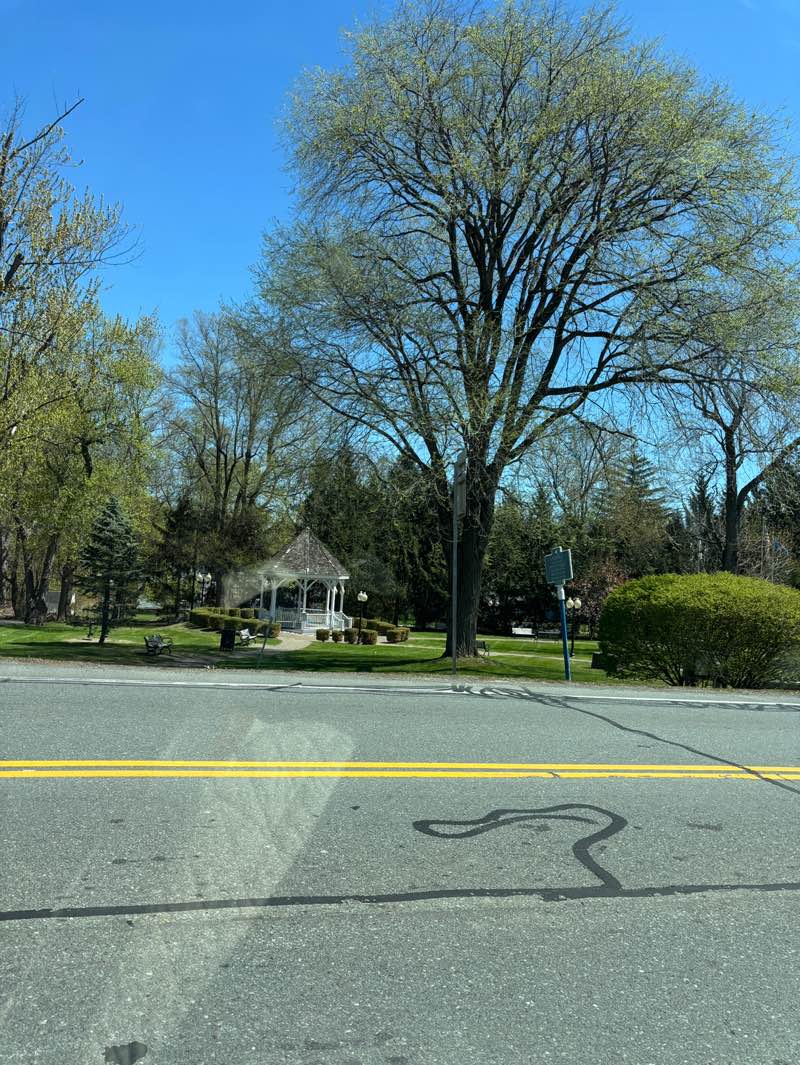 walking near me in Loudon Green Park in spring