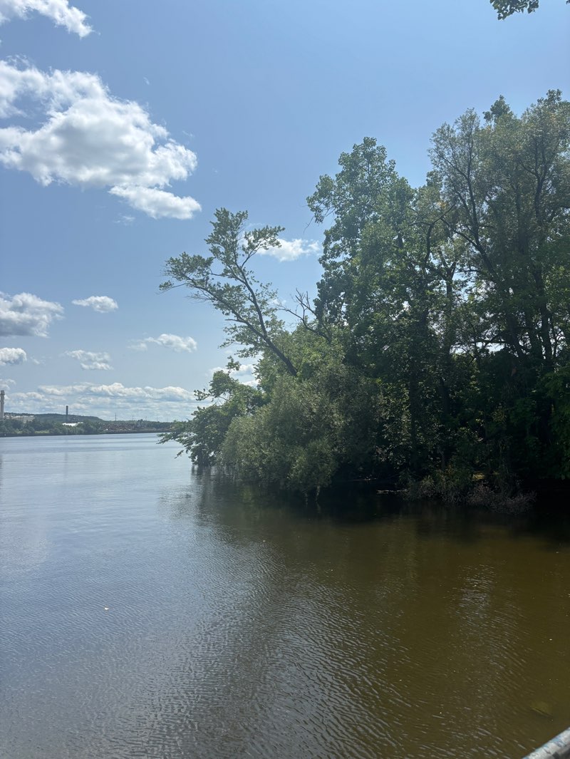walking near me in Island Creek Waterfront Park in summer