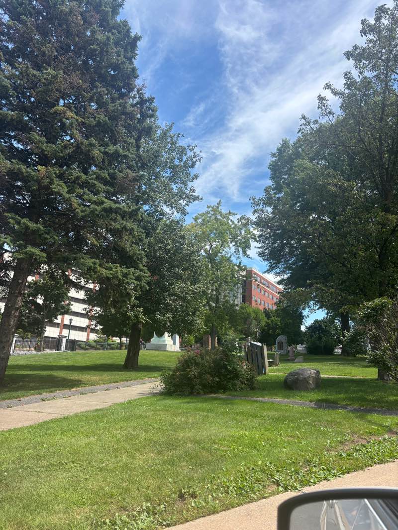 walking near me in Veterans Park in summer