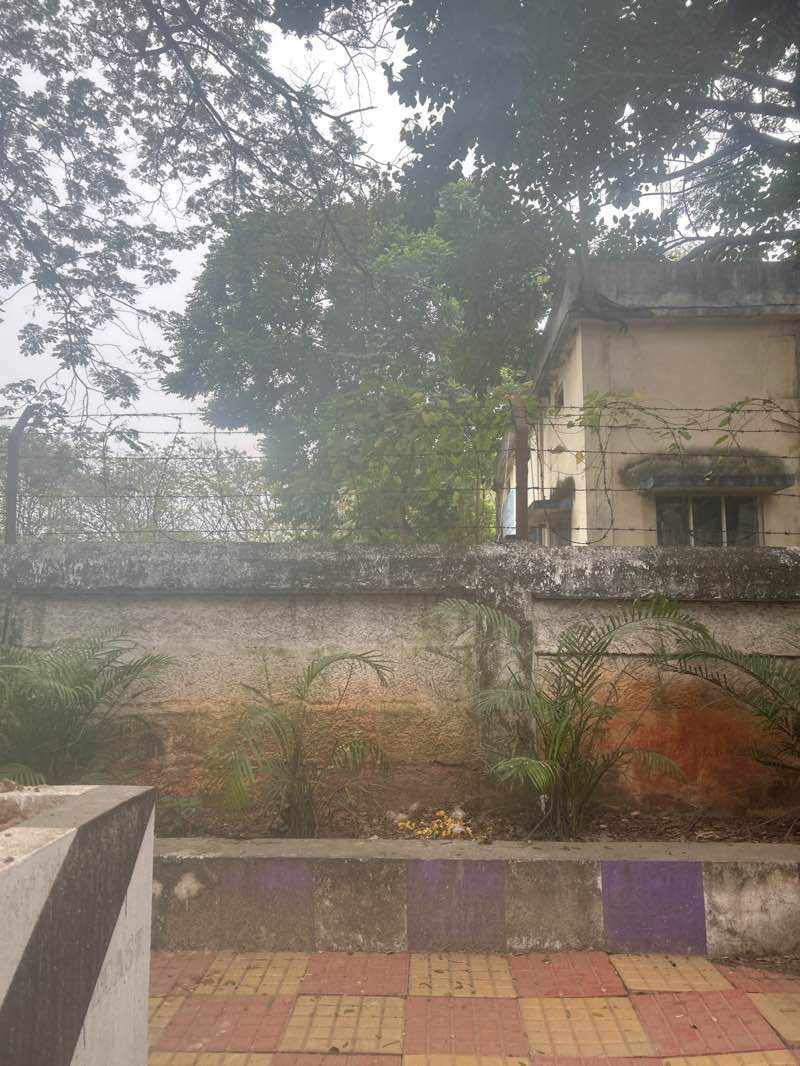 walking near me in Millenium park in winter