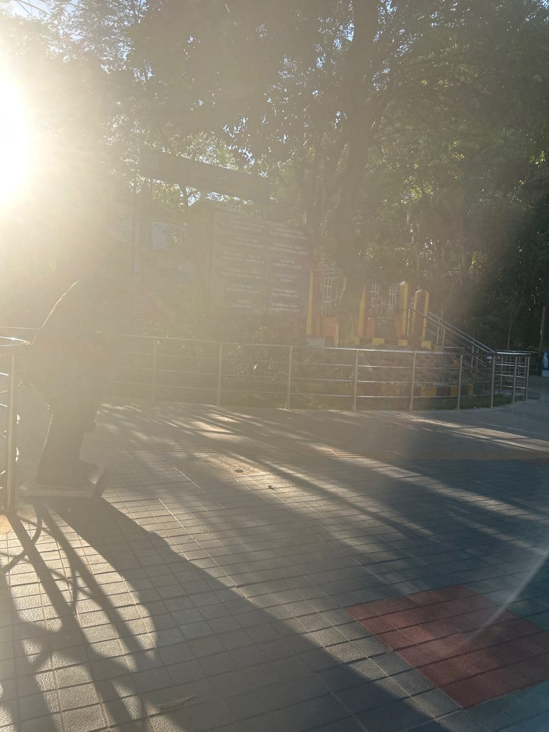 walking near me in Sivan Park in spring