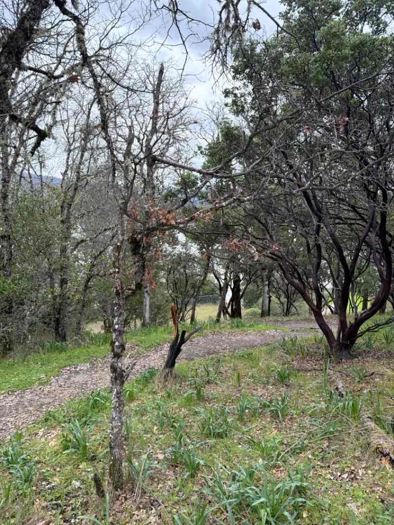 walking near me in Joe Riley Day Use Area in winter