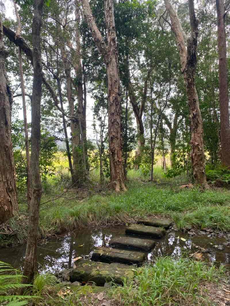 walking near me in Eumundi Conservation Park in winter