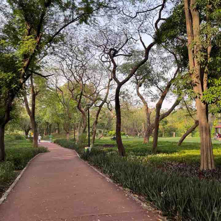 Parineeta post 1