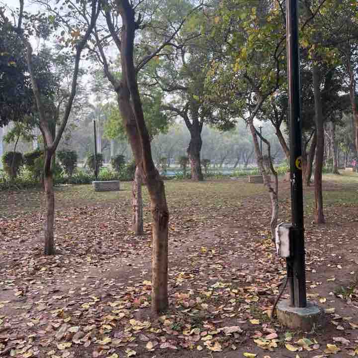 Parineeta post 1