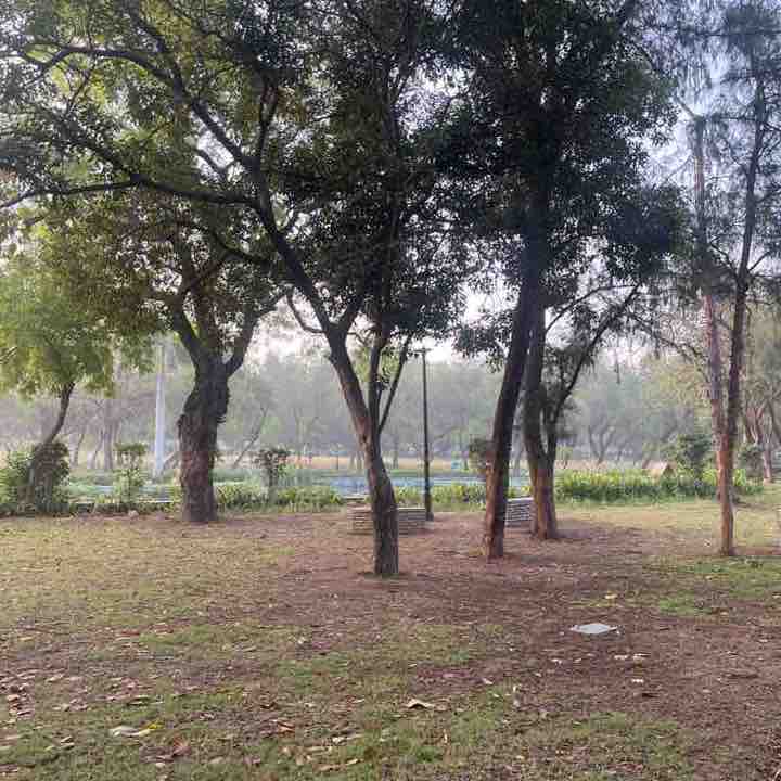Parineeta post 2