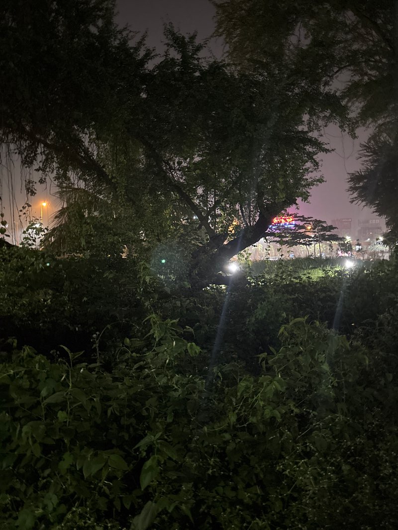 walking near me in AA-AB Khaal Paar in autumn