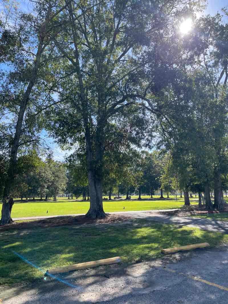 walking near me in Sidney Hutchinson Park in autumn