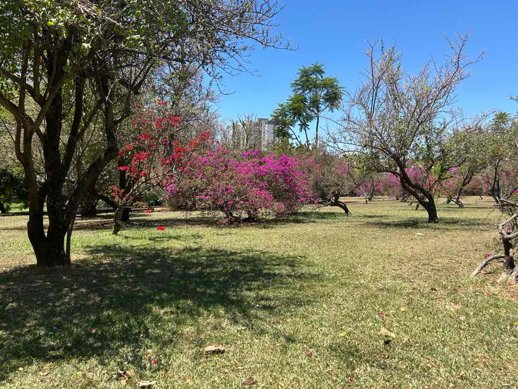 walking near me in Parque Ecológico in spring