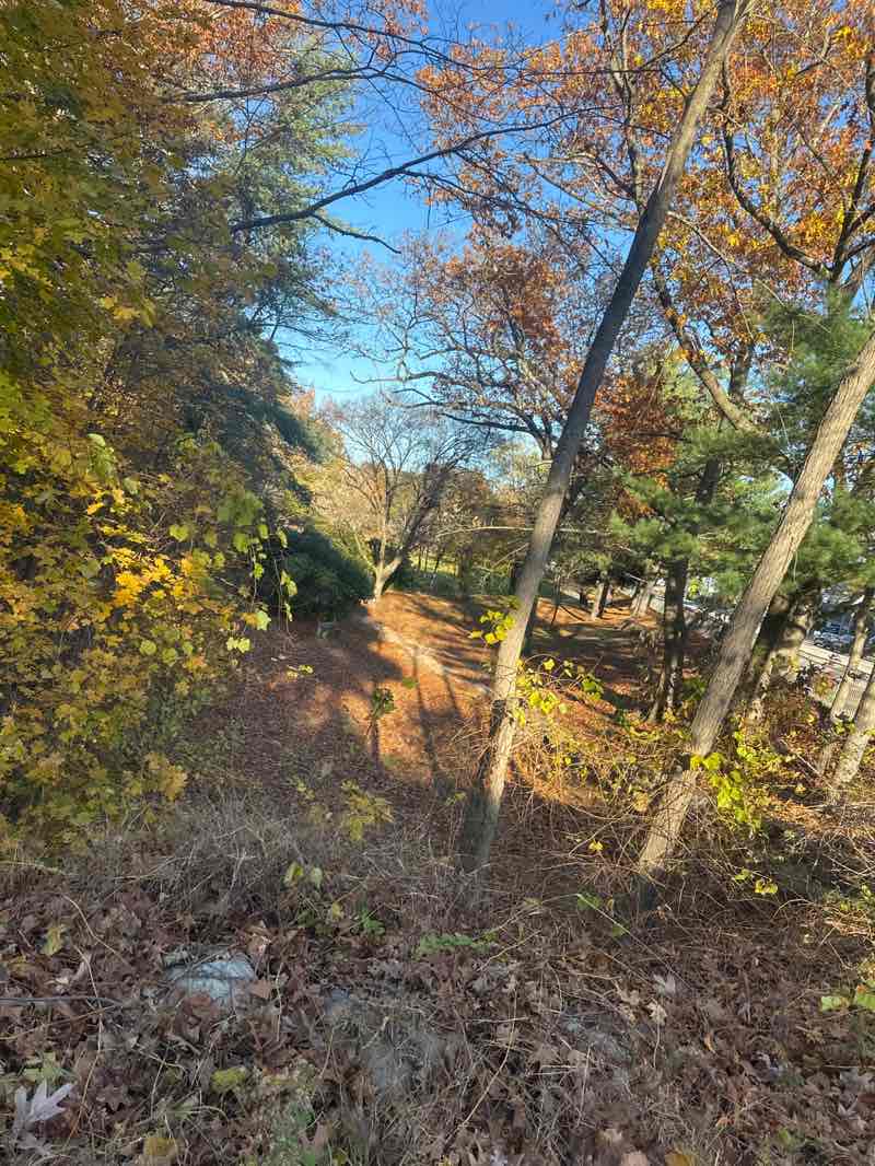 walking near me in White Park in autumn