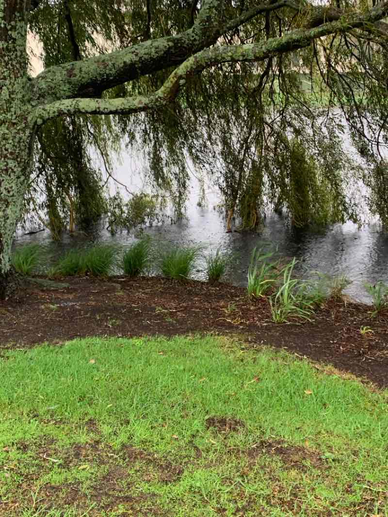 walking near me in Bruce Pulman Park in autumn