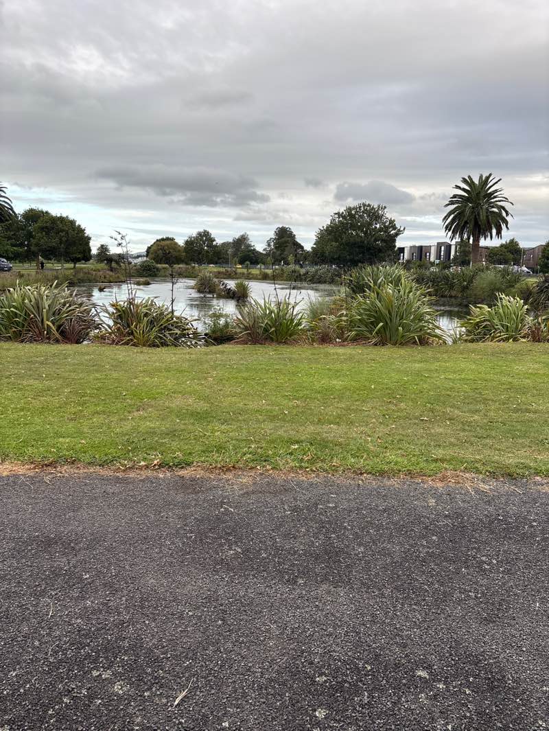 walking near me in Bruce Pulman Park in summer