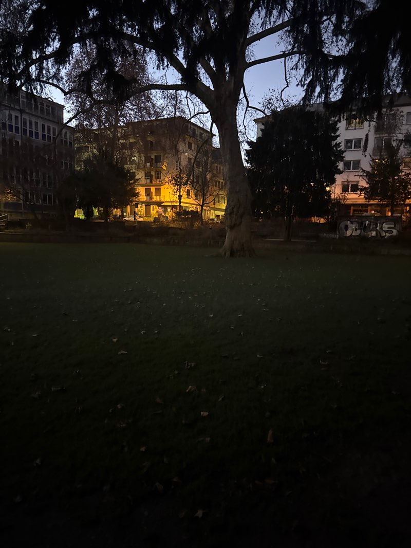walking near me in Lauersche Gärten in winter