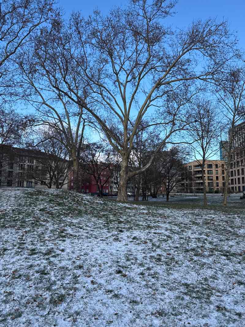 walking near me in Hanns-Glückstein-Park in winter