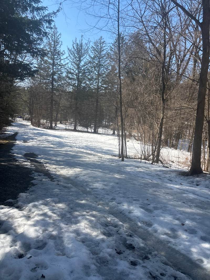 walking near me in Saratoga Spa State Park in spring