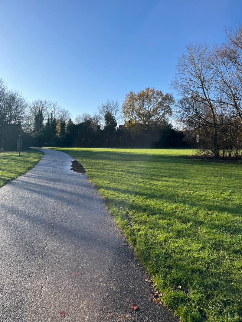 walking near me in Lavender Hall Park in winter