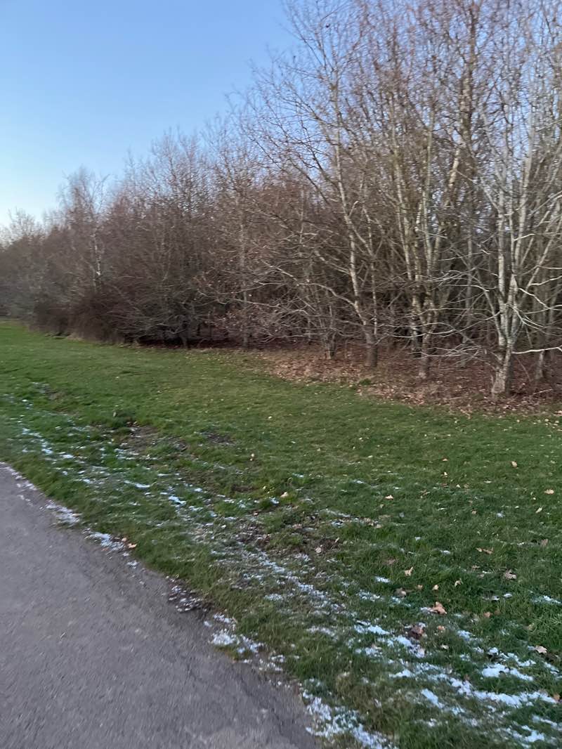 walking near me in Lavender Hall Park in winter