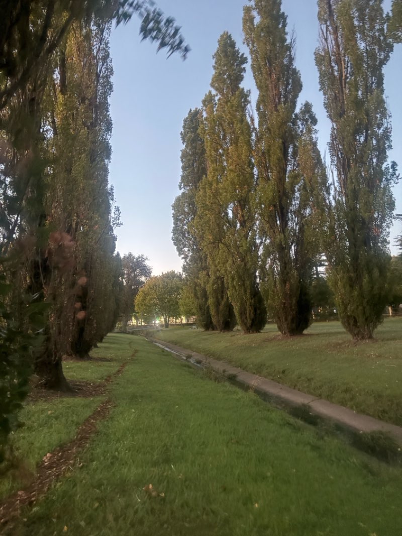 walking near me in Memory Park in autumn