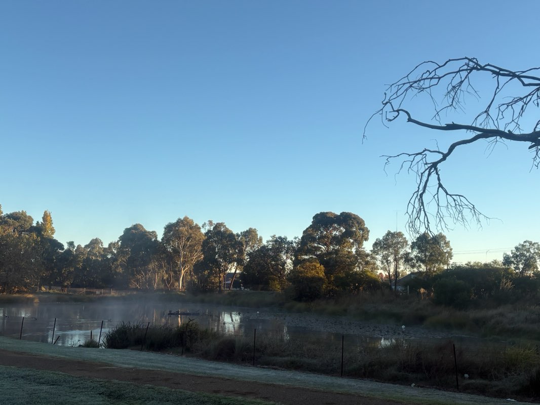 walking near me in Sir Jack Brabham Park in autumn