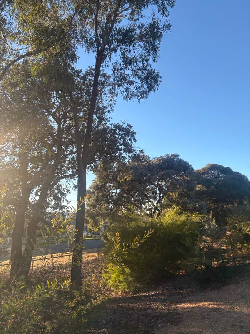 walking near me in Sir Neville Howse Park in autumn