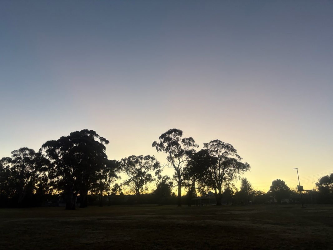 walking near me in Eyde Park in winter