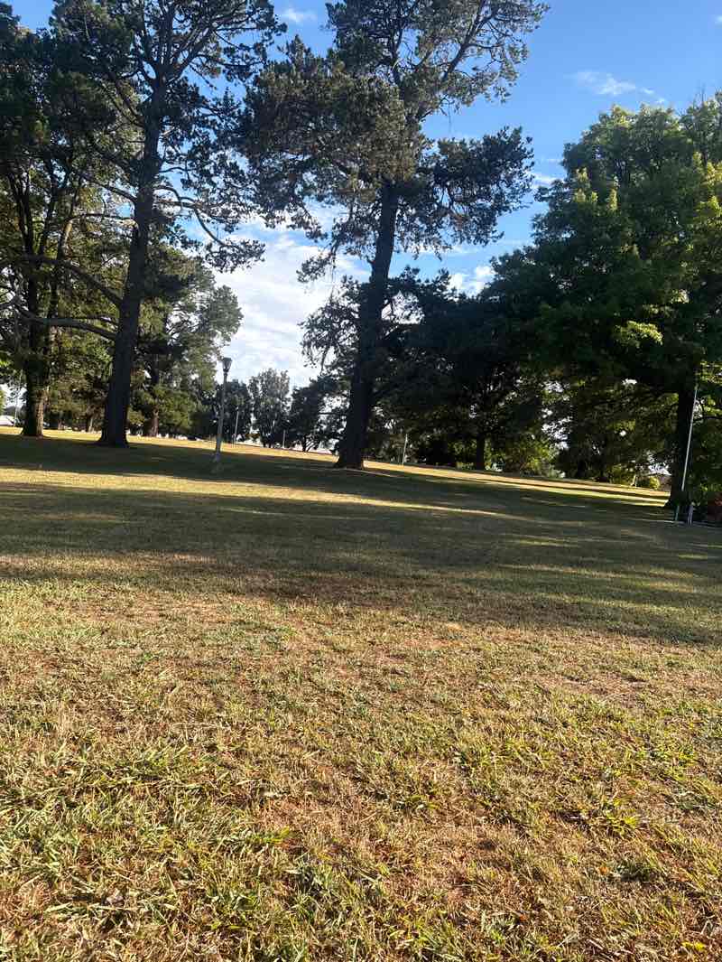 walking near me in Newman Park in summer
