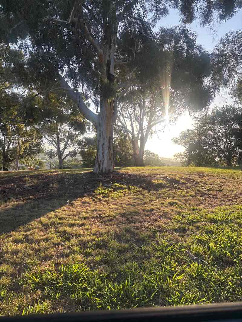 walking near me in Leone Healy Park in summer