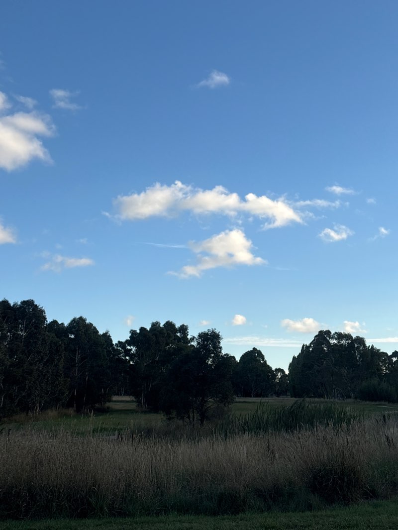 walking near me in International Gardens in summer
