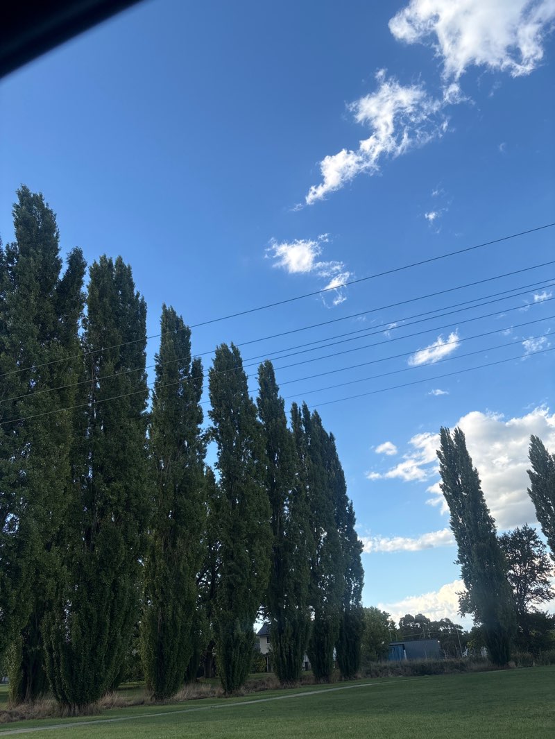 walking near me in Machin Park in autumn