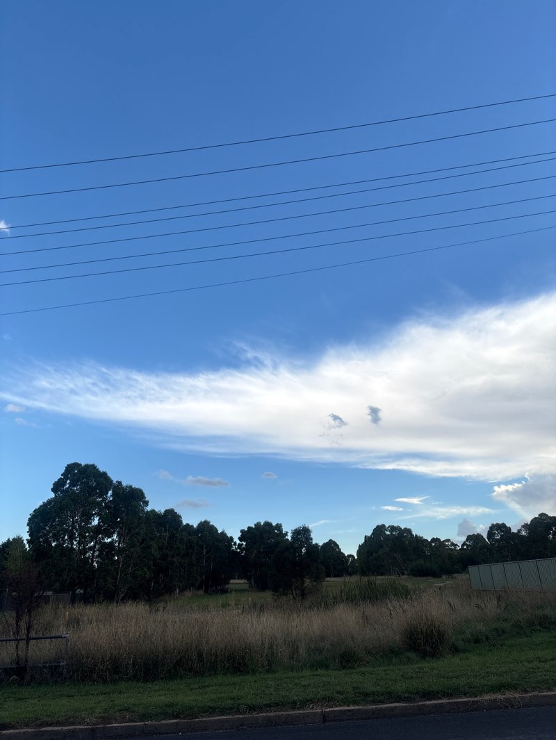 walking near me in Nelson Park in autumn