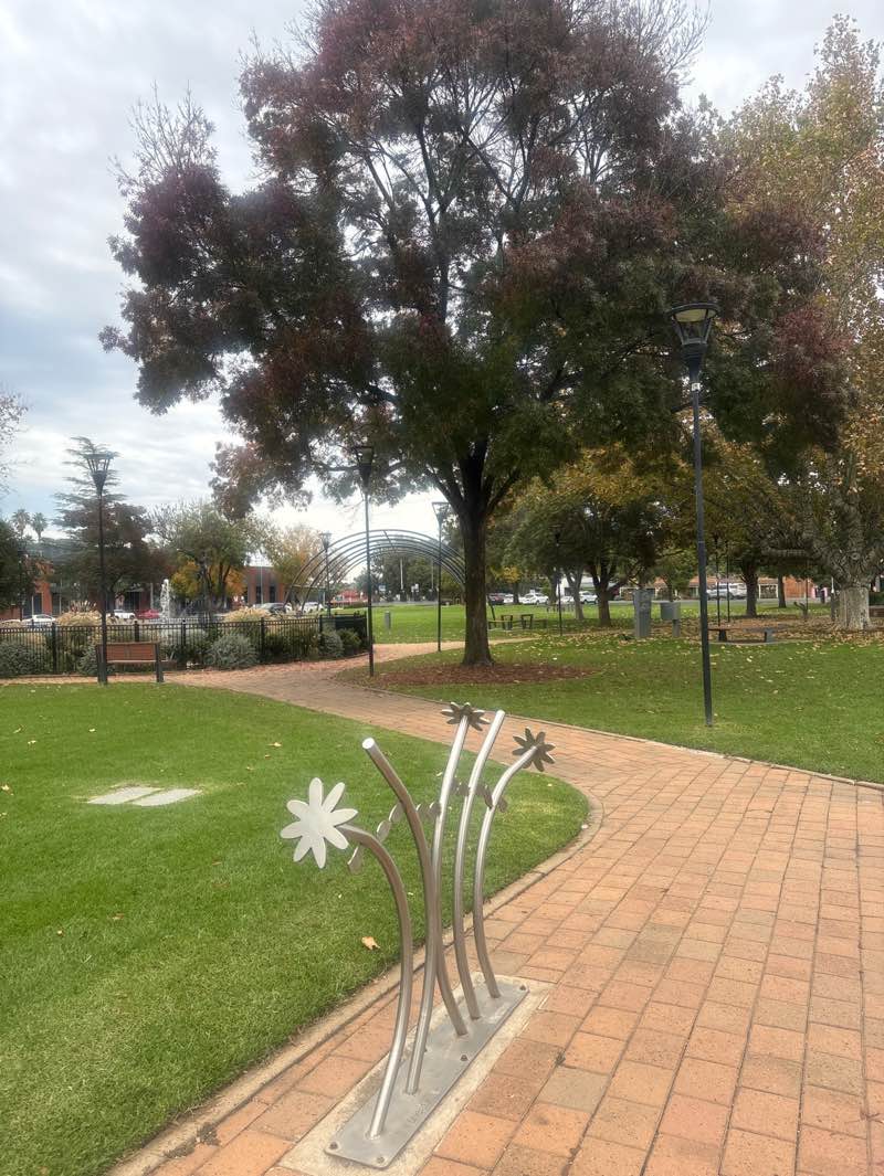 walking near me in Cooke Park in winter