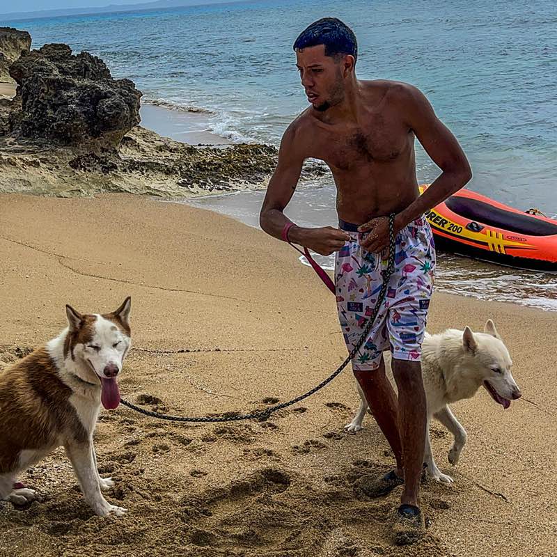 Rafael Lleras Limery icon