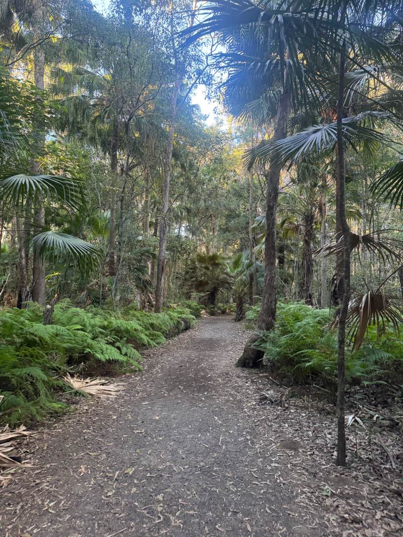 walking near me in Mooloolah River National Park in winter