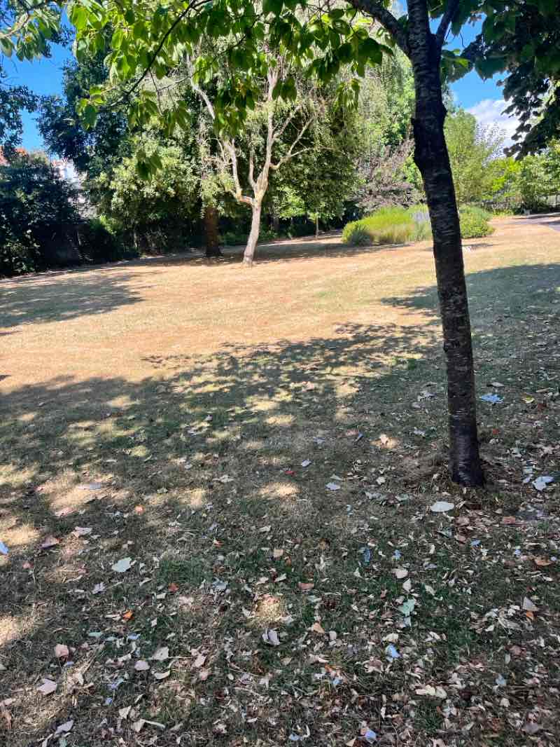 walking near me in Beach House Grounds in summer