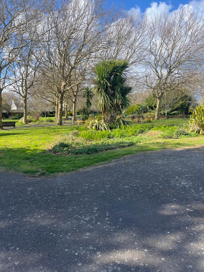 walking near me in Beach House Grounds in spring