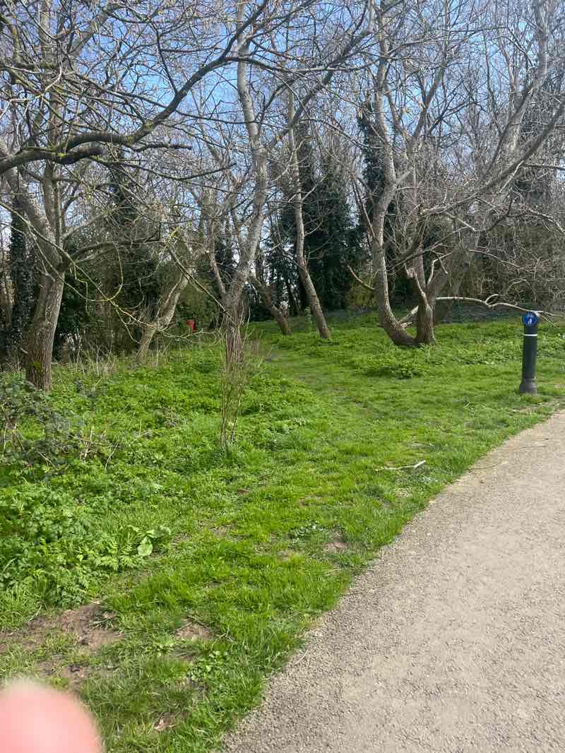 walking near me in Brooklands Pleasure Park in spring