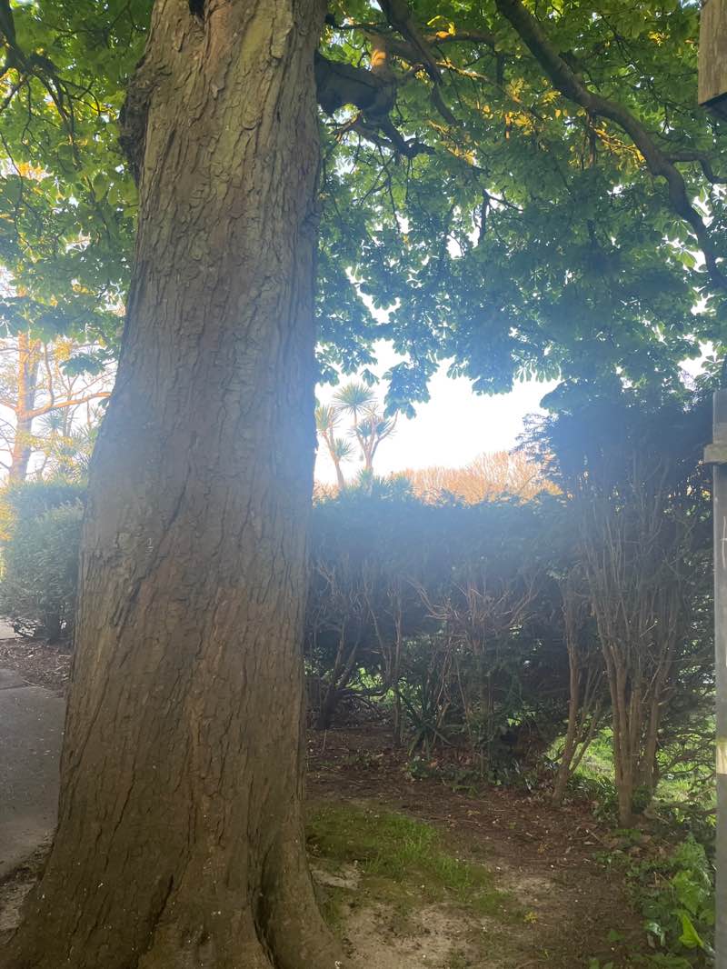 walking near me in Beach House Park in spring